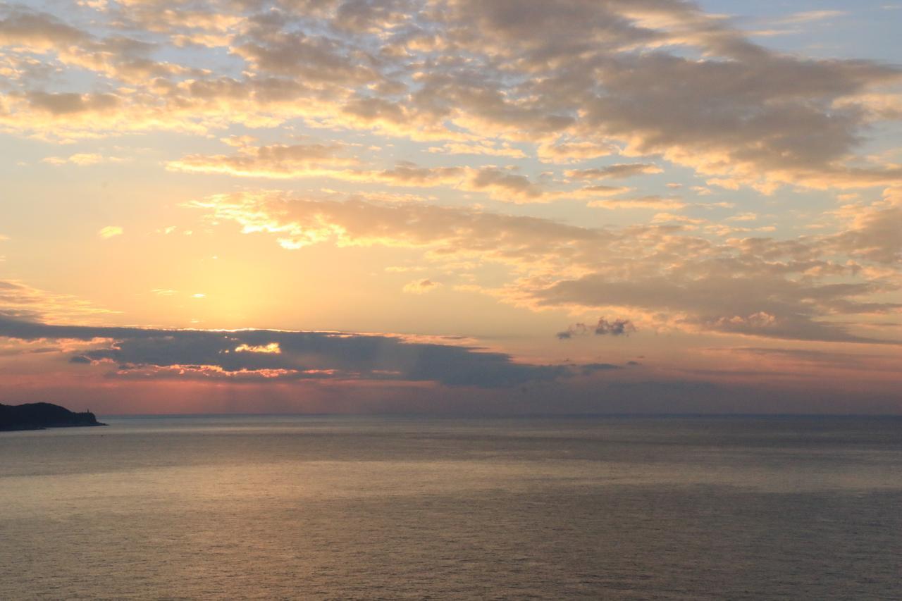 Miyanouraso Otel Yakushima  Dış mekan fotoğraf